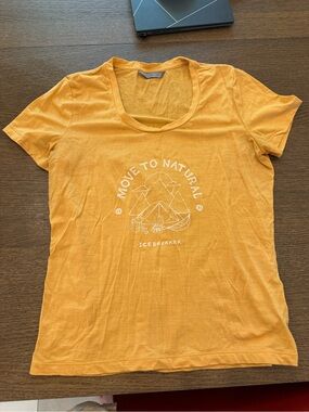 Icebreaker Tshirt